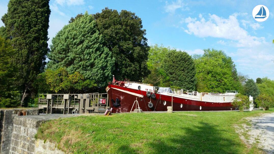 صور Clipper 1894 2