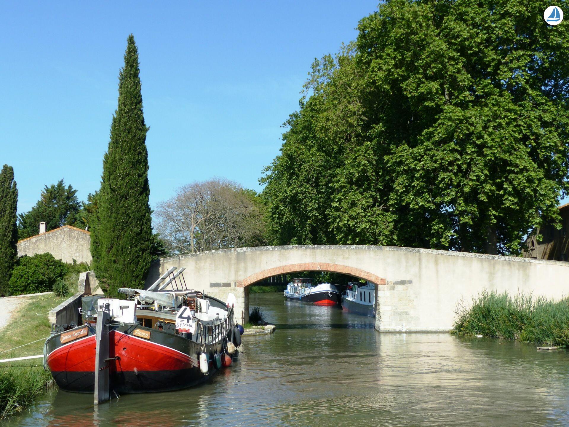 صور Clipper 1894 8