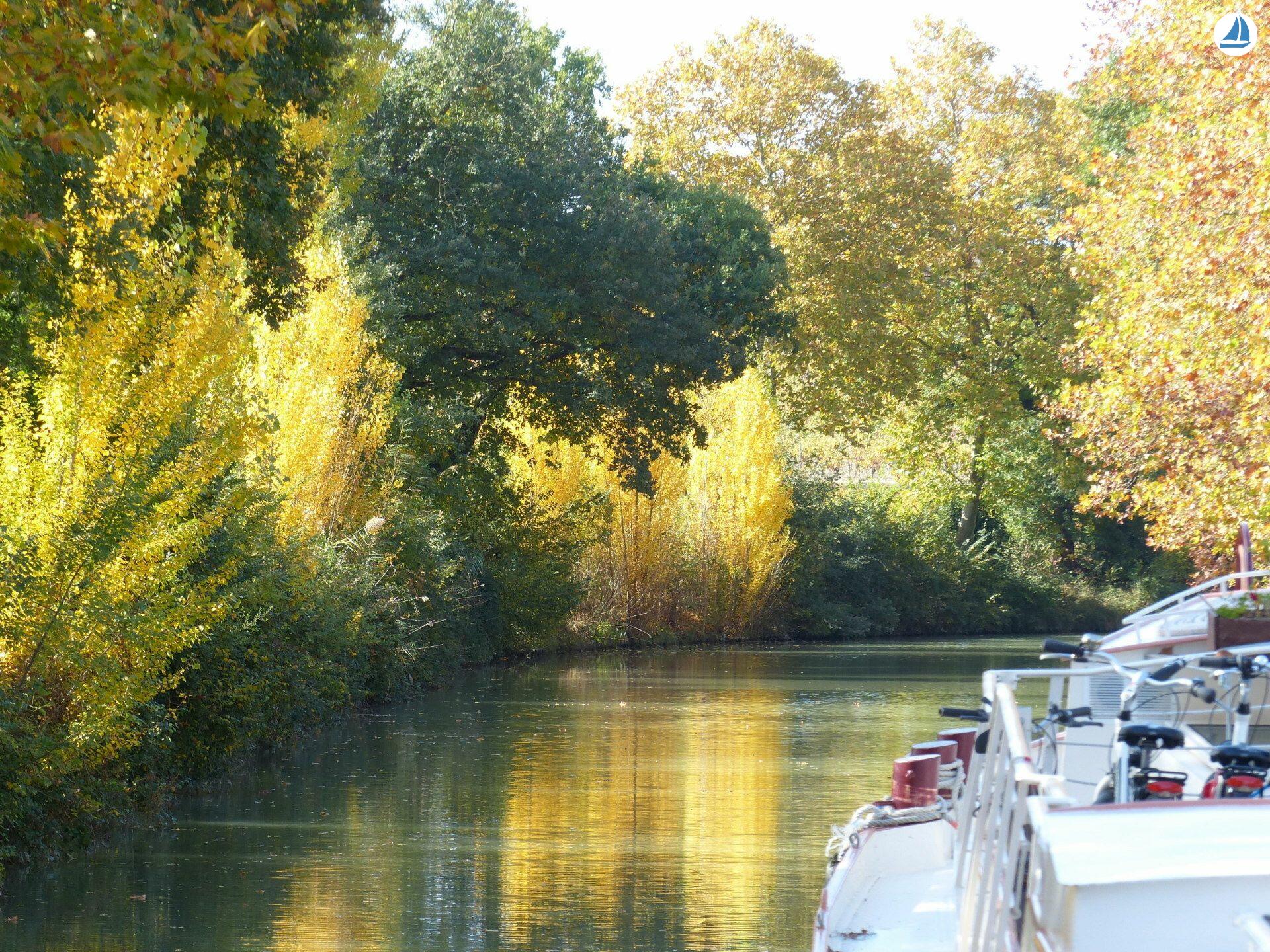 صور Clipper 1894 10