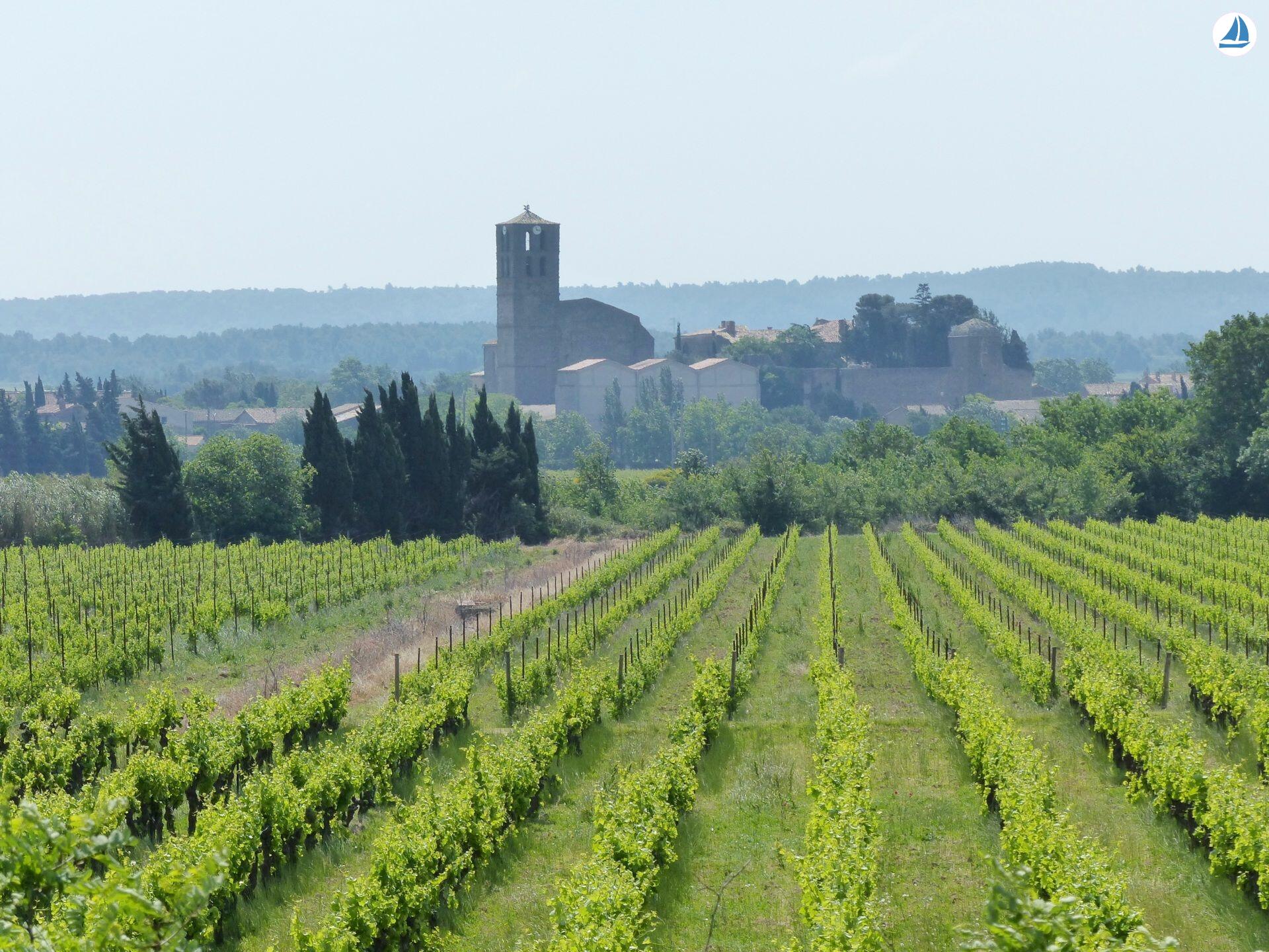 صور Clipper 1894 15