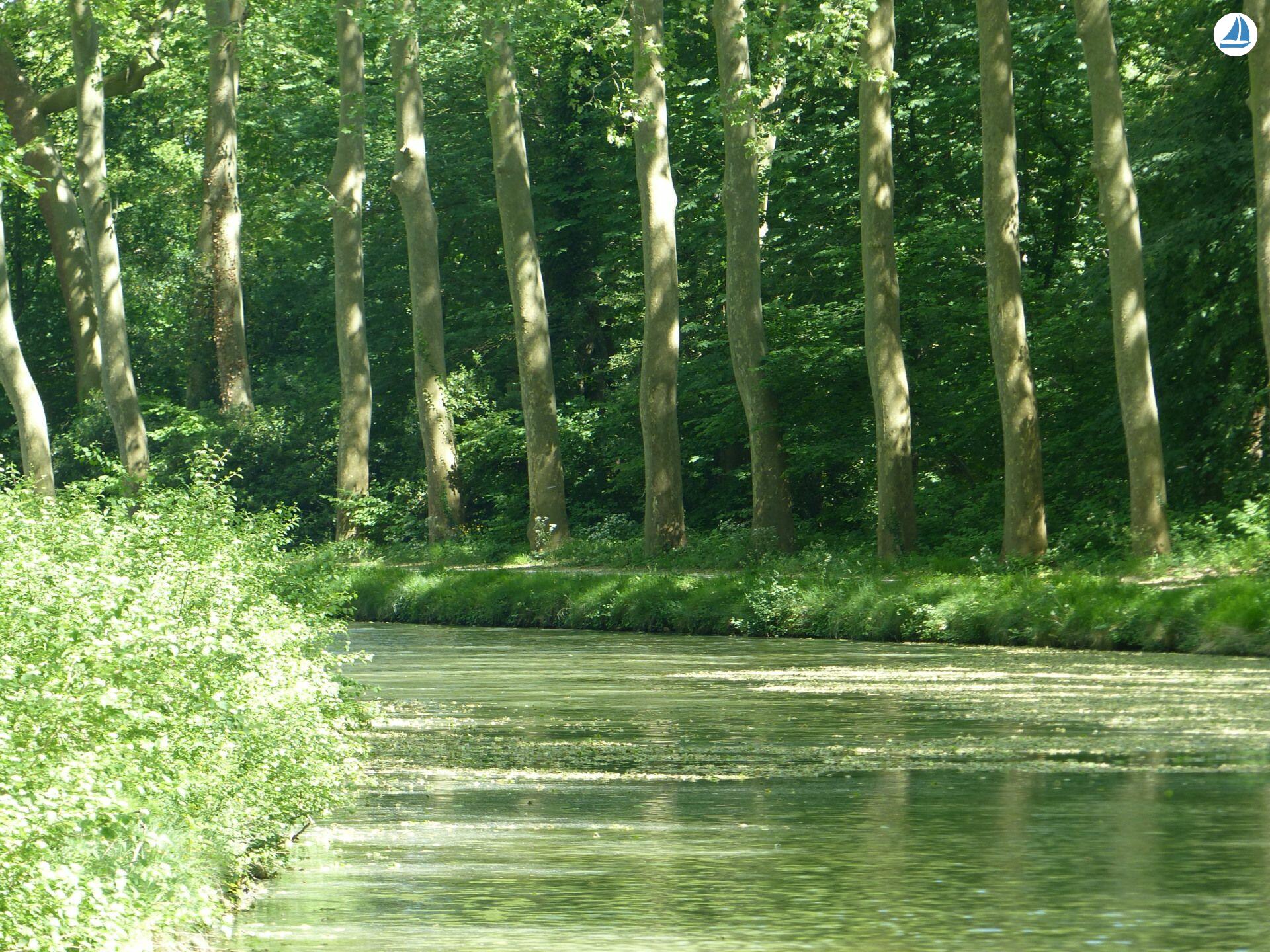 صور Clipper 1894 16