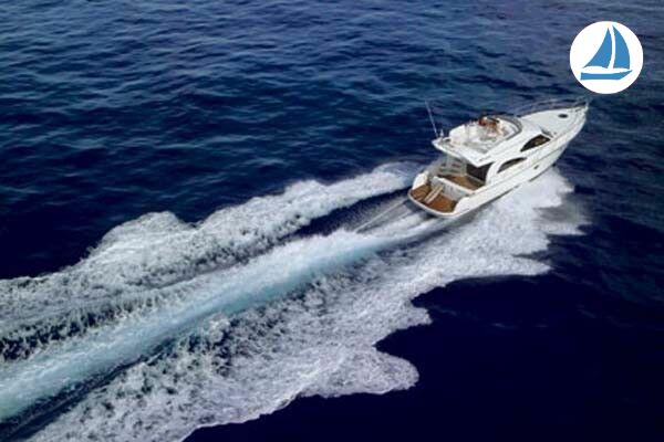 صور Rodman 41 Fly 3