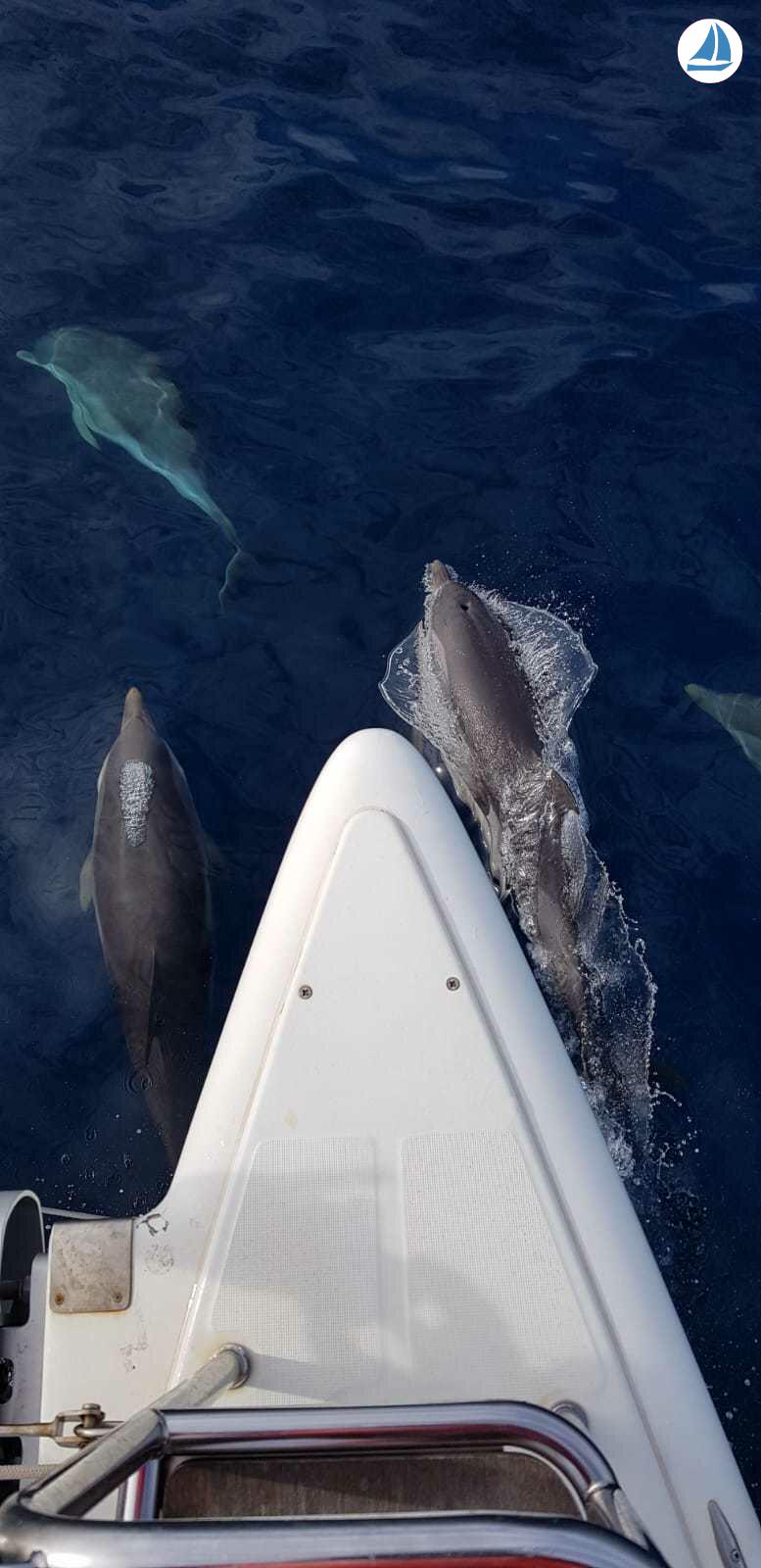 صور Lagoon 500 7