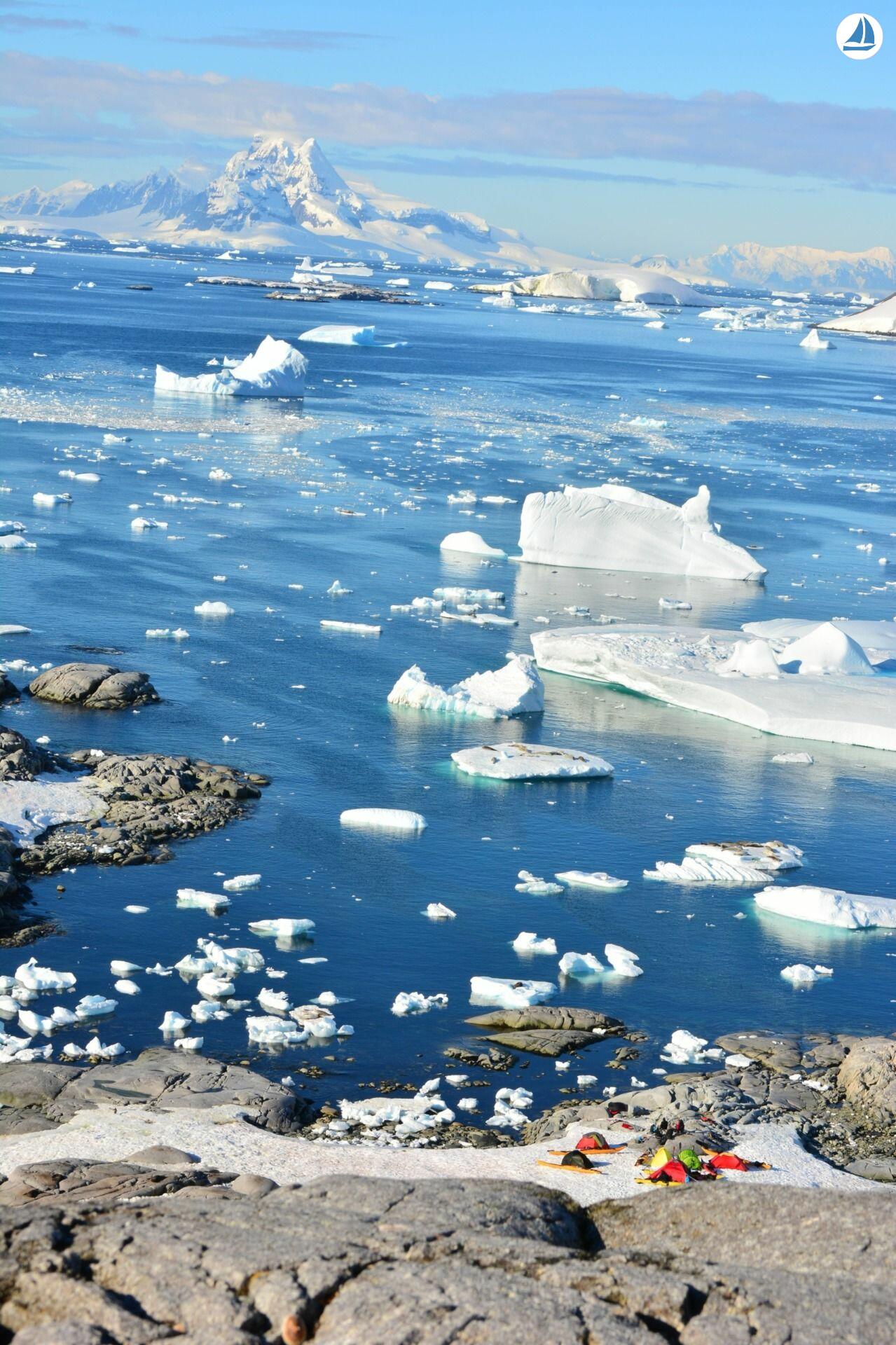 صور Custom 60' Custom 60' 14