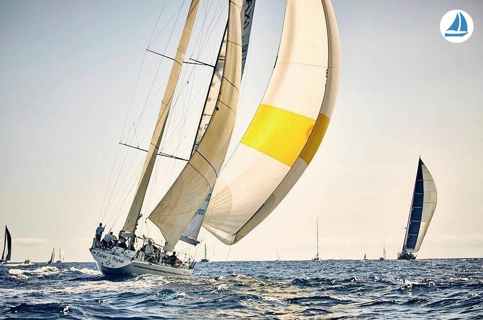 صور Whitbread 83 2