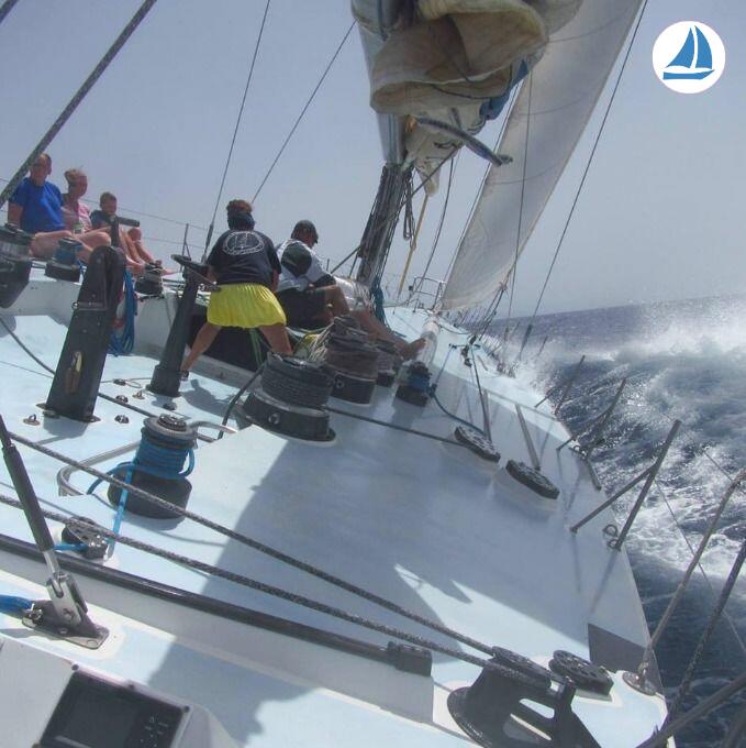 صور Whitbread 83 3