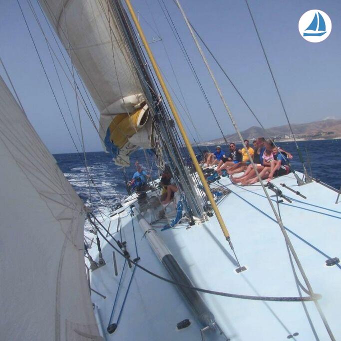 صور Whitbread 83 4