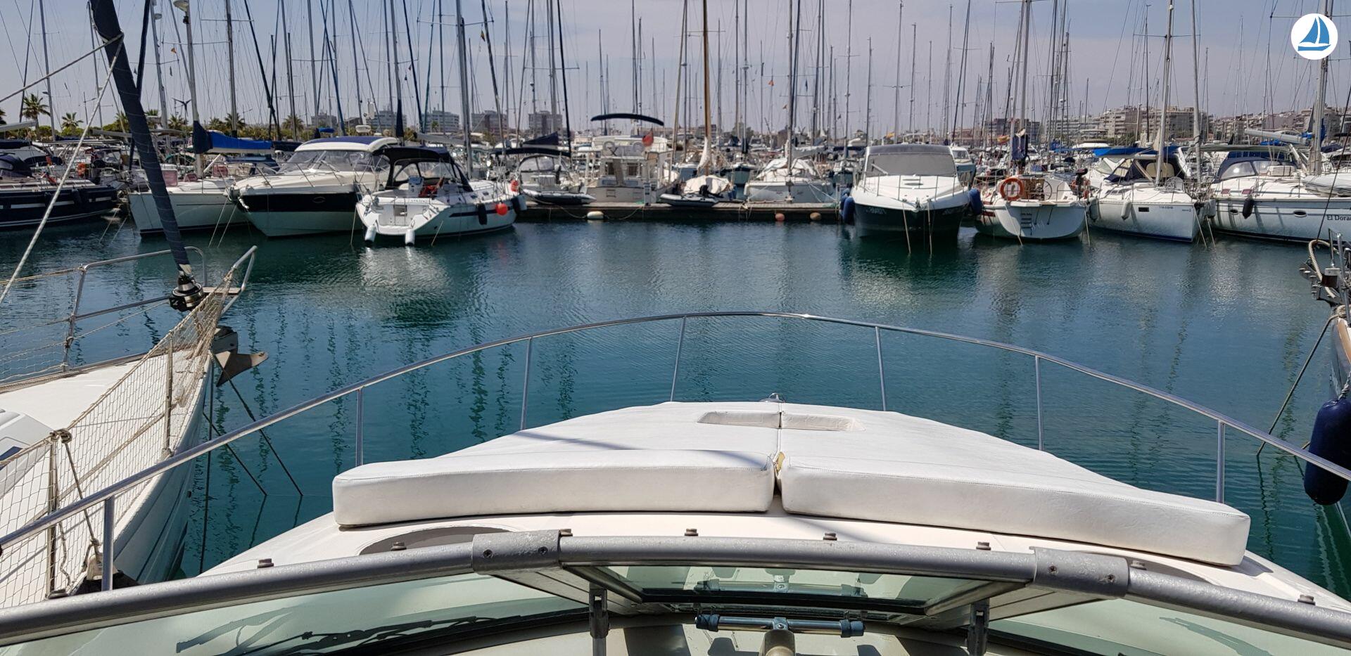 صور Sea Ray Sundancer 355 2