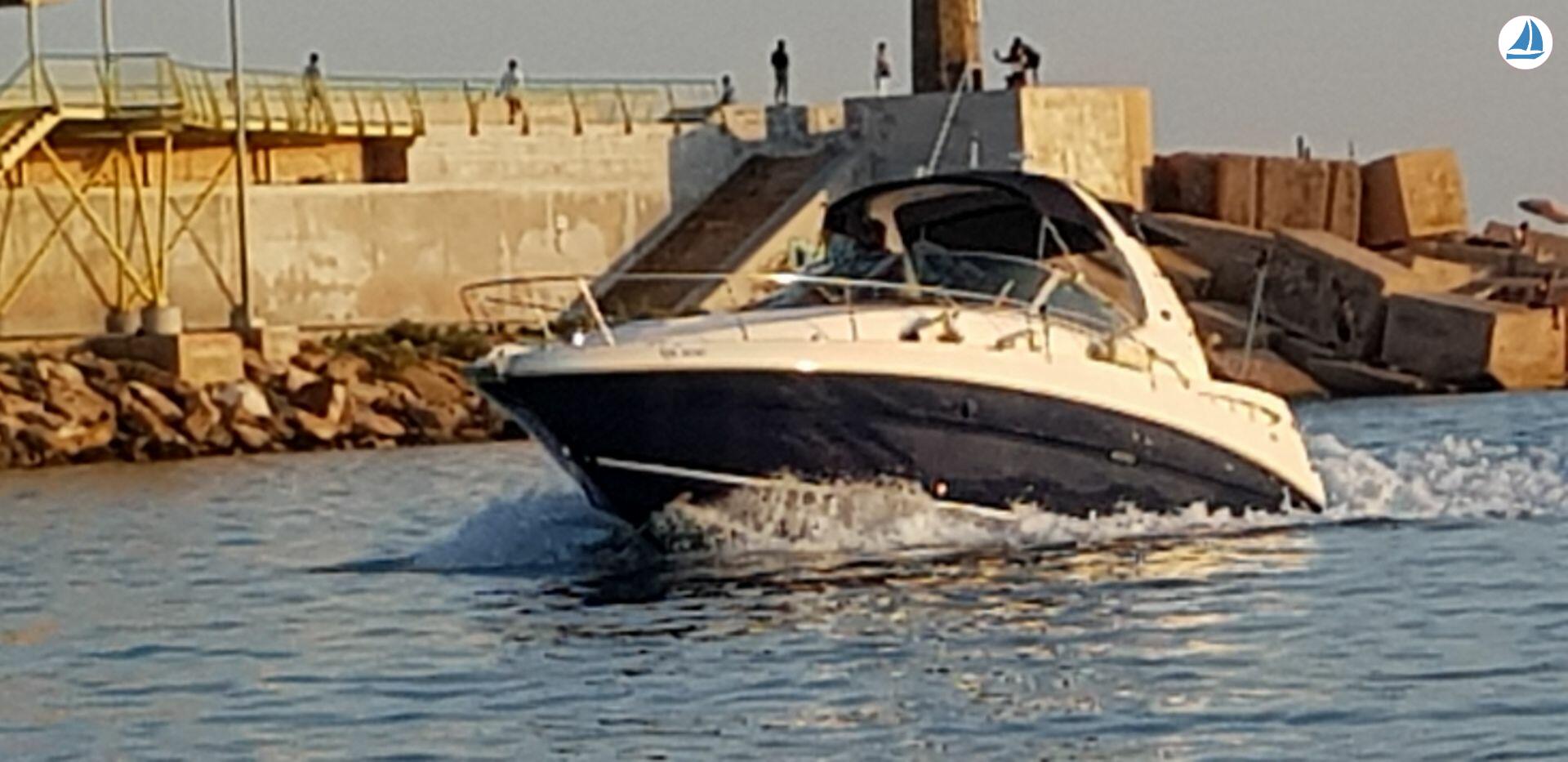 صور Sea Ray Sundancer 355 5