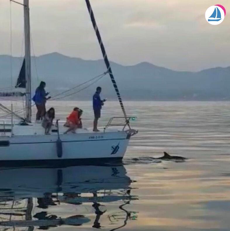 صور Beneteau OCEANIS 351 5