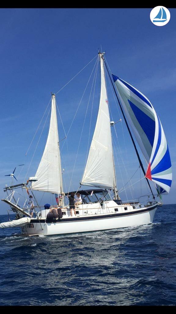 صور Gulfstar 44 M/S 2