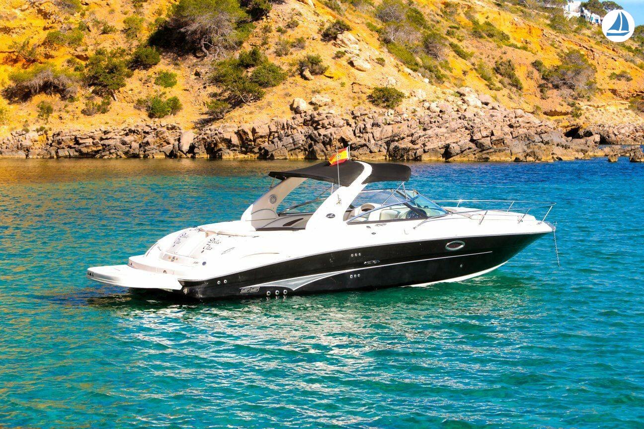 صور Sea Ray 295 SS 1