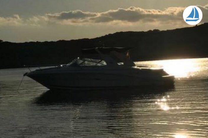 صور Sea Ray 295 SS 11