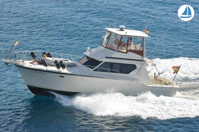 صور Hatteras 45 1