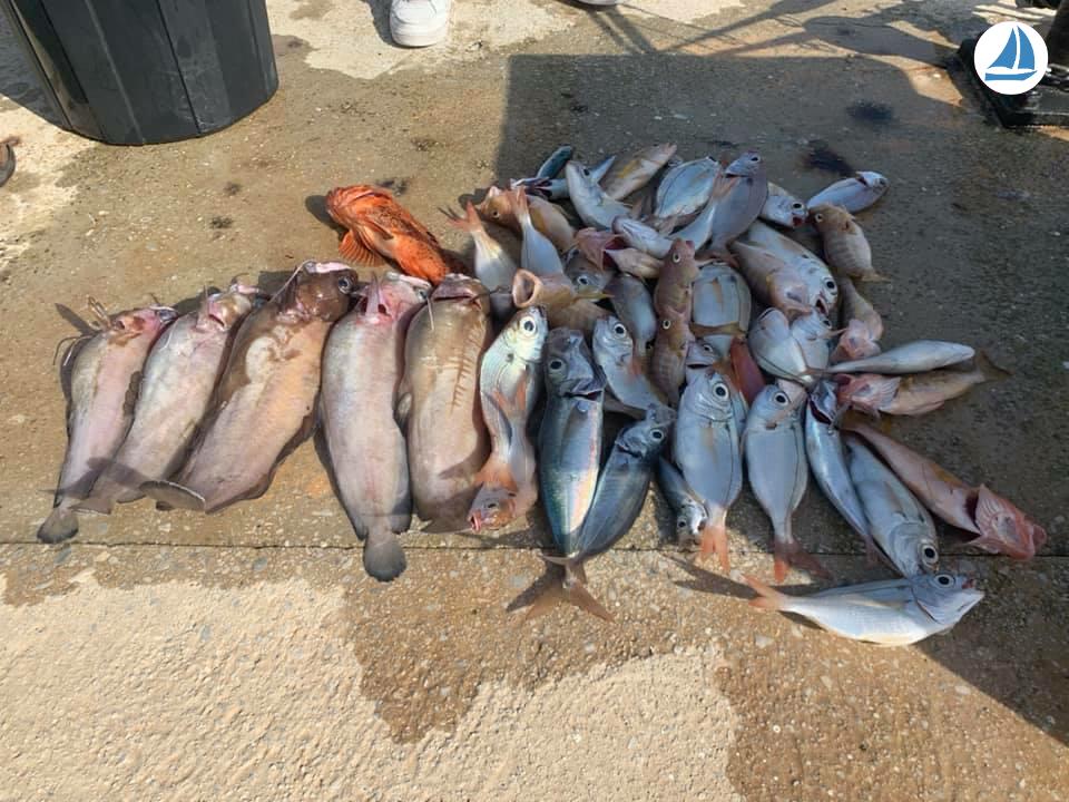 صور Quicksilver 640 Week-end 4